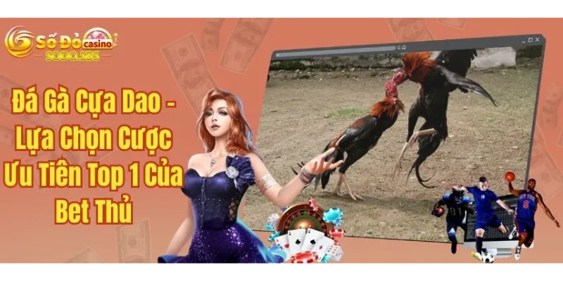 Đá Gà Cựa Dao - Lựa Chọn Cược Ưu Tiên Top 1 Của Bet Thủ