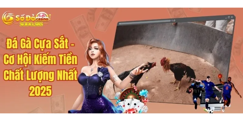 Đá Gà Cựa Sắt - Cơ Hội Kiếm Tiền Chất Lượng Nhất 2025