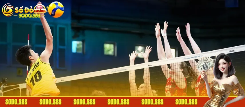 Hướng Dẫn Cá Cược Bóng Chuyền Chuẩn Tại SODO Cho Newbie Hiểu rõ luật chơi thể thao giúp bạn giải trí hiệu quả hơn