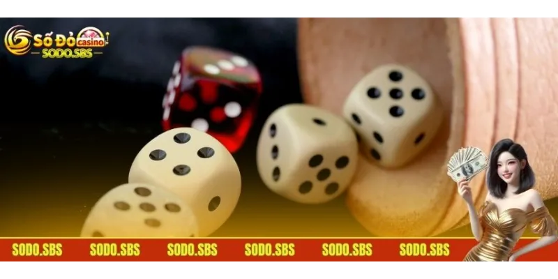 Live Sic Bo - Siêu Phẩm Kiếm Tiền Cực Dễ Cho Bet Thủ Tìm hiểu một số quy định liên quan đến luật chơi