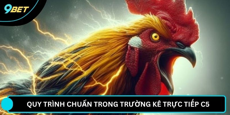 Quy trình chuẩn trong trường kê trực tiếp C5 